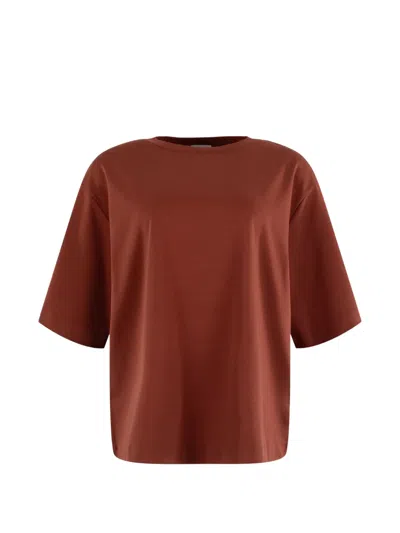 Drykorn Pinara T-shirt In Brown