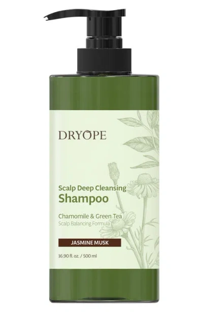 Dryope Scalp Deep Cleansing Shampoo In Transparent
