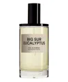 D.s. &amp; Durga Big Sur Eucalyptus Eau De Parfum 100 ml In White