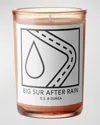 D.s. & Durga Big Sur After Rain Candle, 7 oz