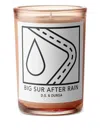 D.s. & Durga Big Sur After Rain Candle, 7 oz In Neutral