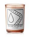 D.s. & Durga Big Sur After Rain Candle, 7 oz