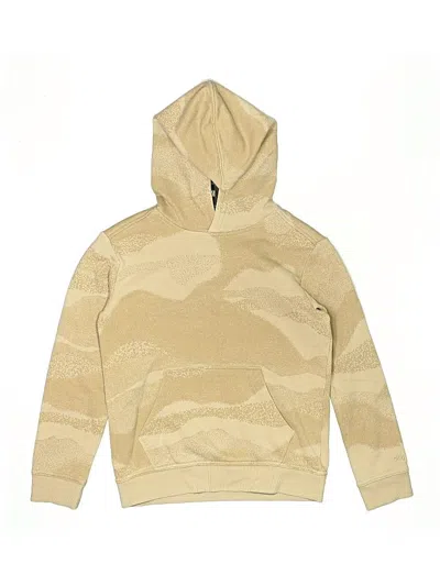 Pre-owned Dsg Kids' Pullover Hoodie In Brown