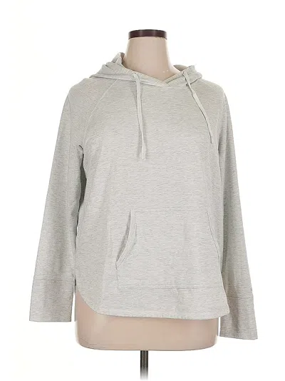Pre-owned Dsg Pullover Hoodie In Gray