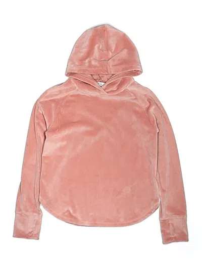 Pre-owned Dsg Kids' Pullover Hoodie In Pink