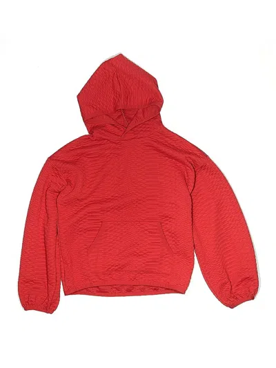 Pre-owned Dsg Kids' Pullover Hoodie In Red