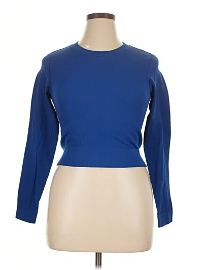 Pre-owned Dsg Pullover Sweater In Blue