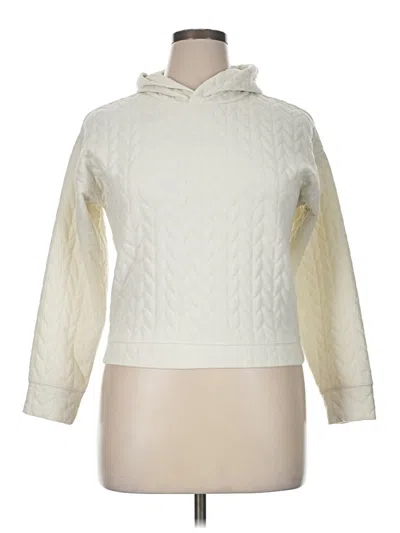 Pre-owned Dsg Turtleneck Sweater In Ivory