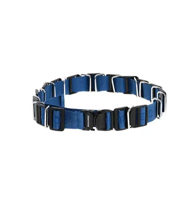 Dsquared2 Blue Logo Belt