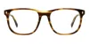 Dsquared2 D2 0079 Men's Glasses, Brown, Size 54 In Multi