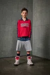 Dsquared2 Denim And Fleece Shorts With Patch In Grey