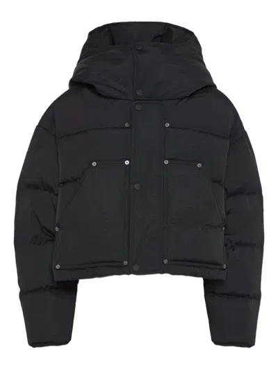 Dsquared2 Hooded Puffer Jacket In Black