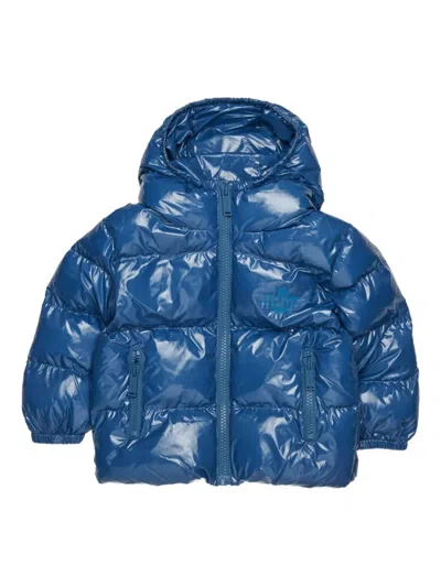 Dsquared2 Babies' Hooded Puffer Jacket In Blue