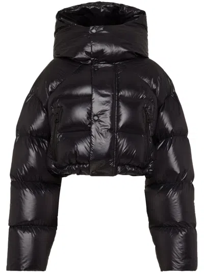 Dsquared2 Puffer Kaban Crop Down Jacket W/ Hood In Black