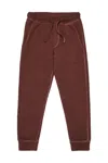 Dsquared2 Jogger Pants Invicta X  In Brown