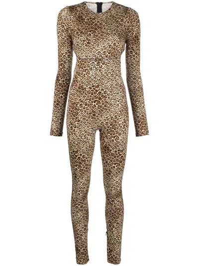 Dsquared2 Leopard-print Bodysuit In Yellow