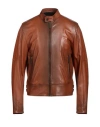 Dsquared2 Man Jacket Brown Size 38 Ovine Leather