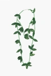 Dsquared2 Plant-motif Beaded Necklace In Green