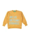 DSQUARED2 DSQUARED2 TODDLER SWEATSHIRT OCHER SIZE 6 COTTON, ELASTANE