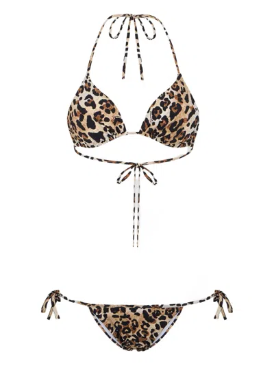 Dsquared2 Wild2 Triangle Bikinis In Brown