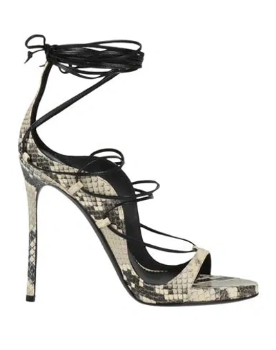 Dsquared2 Woman Sandals Ivory Size 6.75 Leather In Animal Print