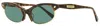 Dsquared2 Women's Freddy Sunglasses Dq0368 52n Havana/gold 51mm In Multi