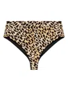 Dsquared2 X Bettter Leopard Printed Shorts In Brown