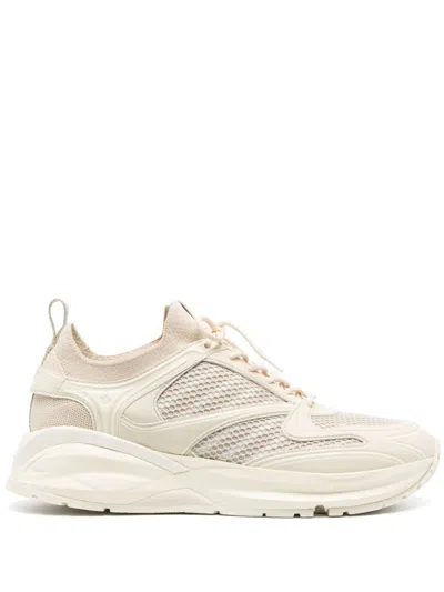 Dsquared2 Neutral Dash Low-top Sneakers In Tan