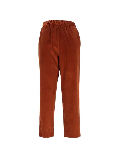 Dušan Corduroy Tapered Trousers In Brown