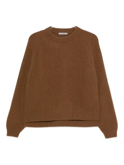 Dušan Ribbed Crew-neck Sweater In Brown