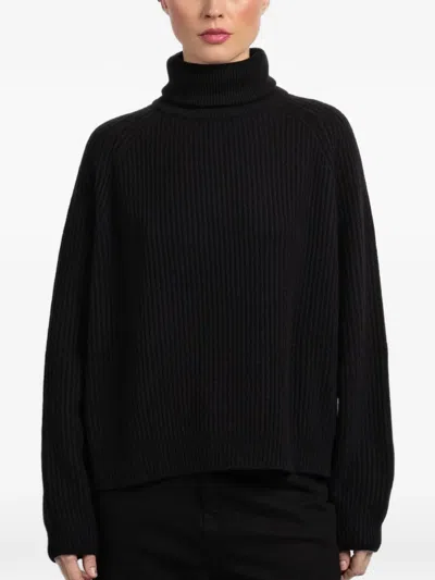 Dušan Roll-neck Ribbed Sweater In Black
