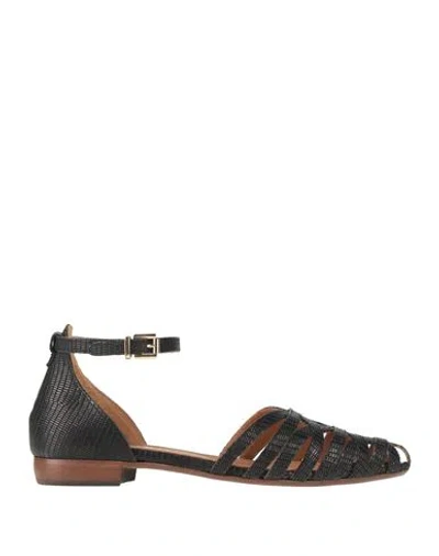 Duccio Del Duca Woman Sandals Black Size 7.5 Leather