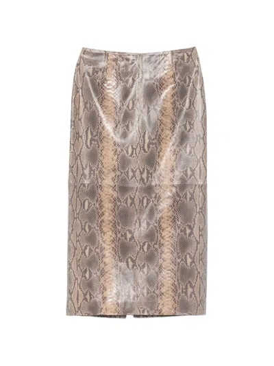 Ducie Chloe Python-print Midi Skirt In Multi