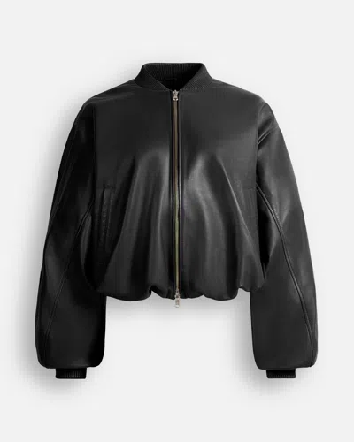 Ducie Pre Order Lena Leather Jacket