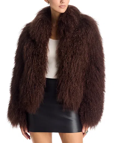 Ducie Rochelle Shearling Jacket In Brown