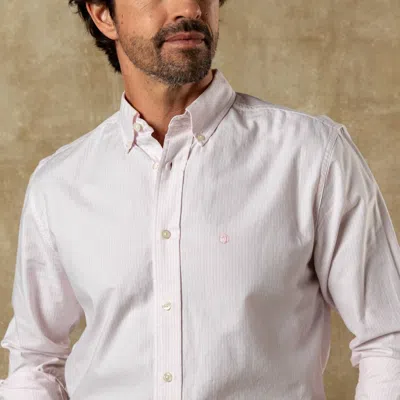Duck Head Collin Stripe Long Sleeve Cotton Oxford Sport Shirt In Pale Pink In White