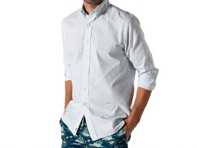 Duck Head Collins Stripe Cotton Oxford Sport Shirt In Light Blue In Gray