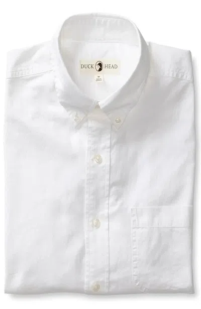 Duck Head Men's Cotton Oxford Sport Shirt In White