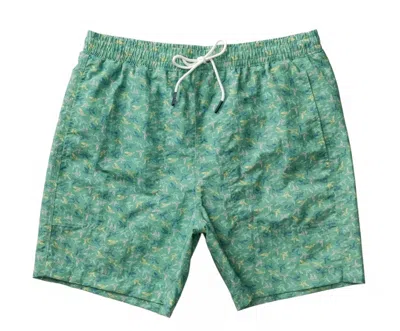 Duck Head Men's Print Sailport Swim Shorts In Aspen Green