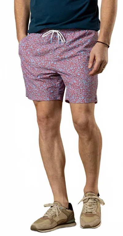 Duck Head Men's Print Sailport Swim Shorts In Serenity Blue In Multi