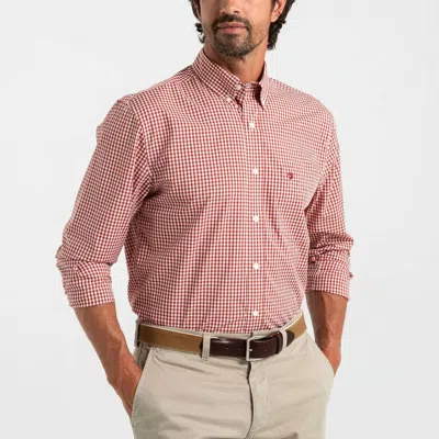 Duck Head Walton Gingham Ls Performance Poplin Sport Shirt In Red Ochre In Multi