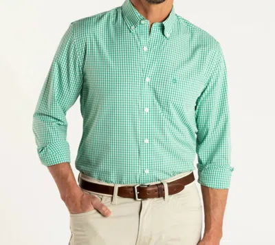Duck Head Walton Gingham Poplin Performance In Tidal Green In Multi