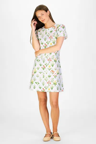 Duffield Lane Alva Dress In Garden Lattice