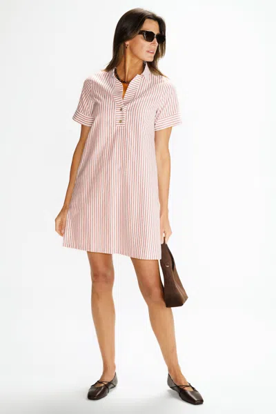 Duffield Lane Banks Dress In Auburn Oxford Stripe