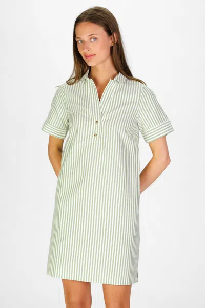 Duffield Lane Banks Dress In Green Oxford Stripe