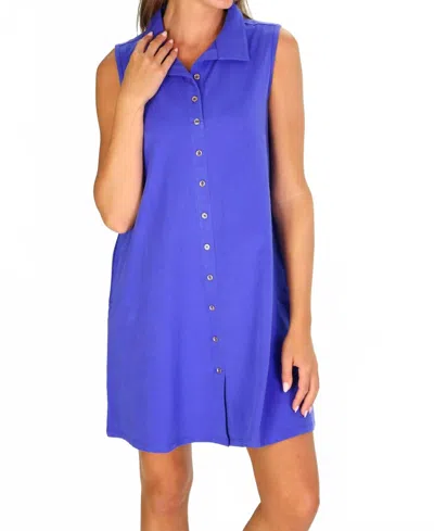 Duffield Lane Sabrina Dress In Dazzling Blue