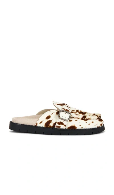 Duke + Dexter Winston Brown Cow Mule In Multi