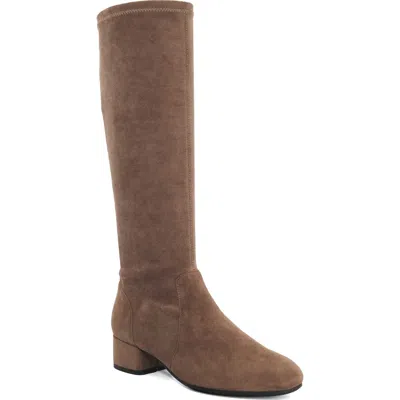 Dune London Topsys Tall Stretch Leather Boot In Mink