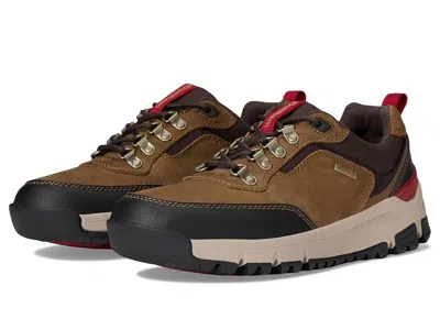 Dunham Alpine Lace-up In Brown