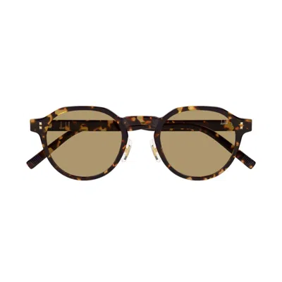 Dunhill Du0113s-003havana-havana-brown